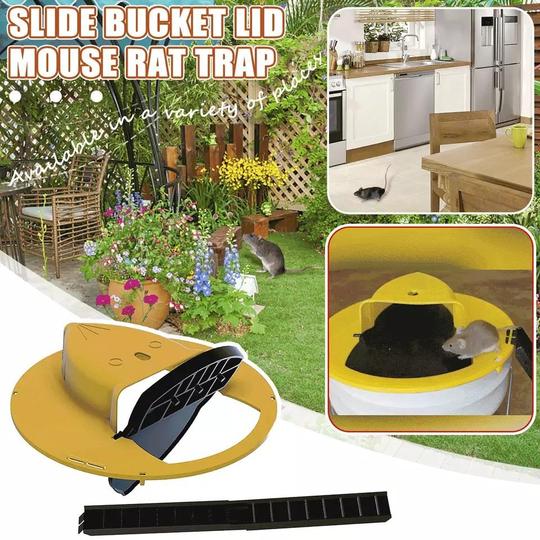 Shop Flip And Slide Mouse Trap online