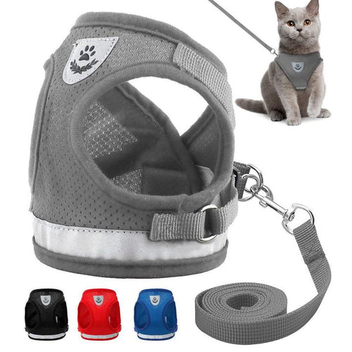 The Best Reflective Mesh Harness For Cats (60% OFF TODAY!)