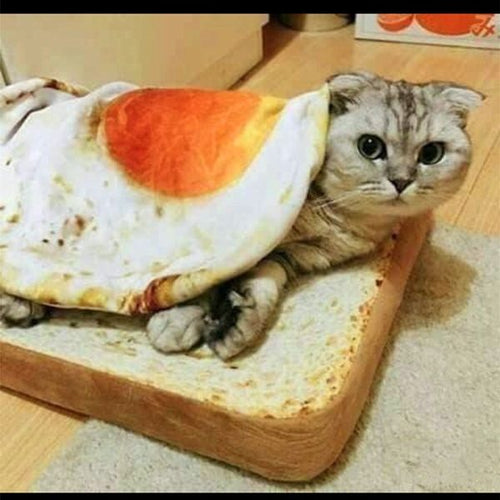 Toast Bed And Omelette Mat/Blanket For Cats (50% OFF TODAY!)