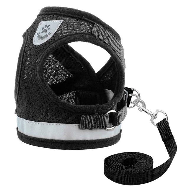 The Best Reflective Mesh Harness For Cats (60% OFF TODAY!)