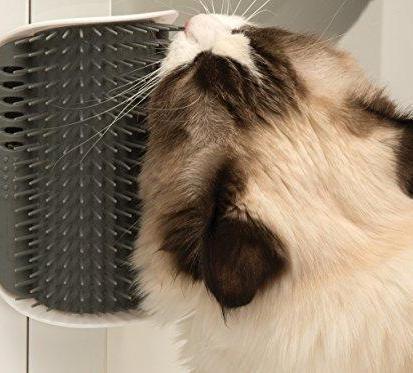 Cat Self Groomer (60% OFF TODAY!)