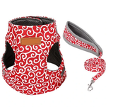 THEPARADIGM™ Cat Vest Harness And Leash (MORE THAN 60% OFF TODAY!)