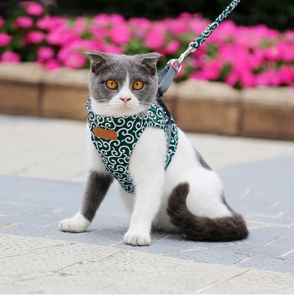 THEPARADIGM™ Cat Vest Harness And Leash (MORE THAN 60% OFF TODAY!)